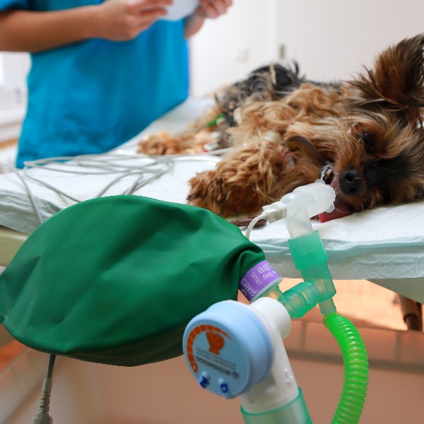 Chirurgie de Urgente